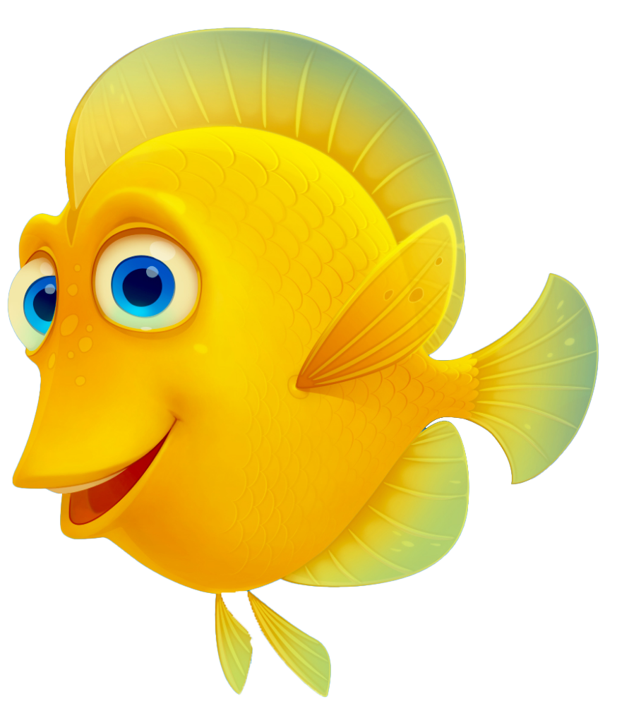 salmon